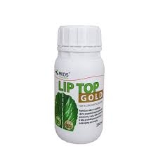 liptop