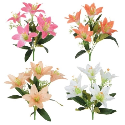 lillijas