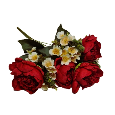 peonijas